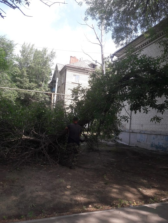 В областном центре продолжаются мероприятия 
по устранению последствий непогоды