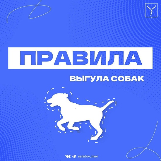 Правила выгула собак!