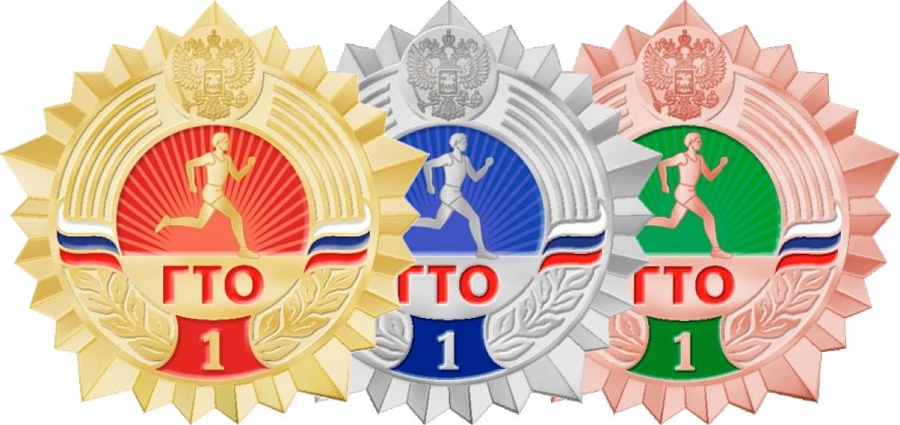 Более 650 саратовских старшеклассников 
выполнили требования комплекса ГТО