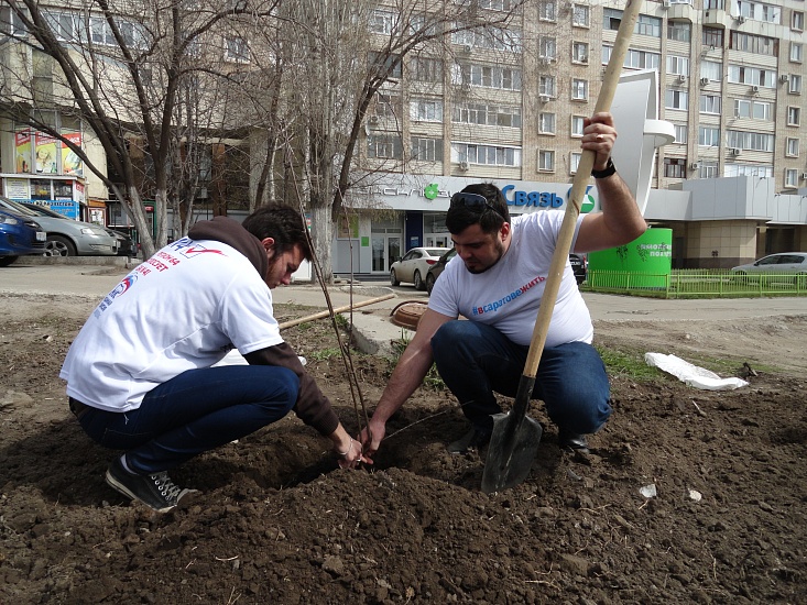 Активисты «Любимого города» озеленили 
одну из центральных улиц Саратова