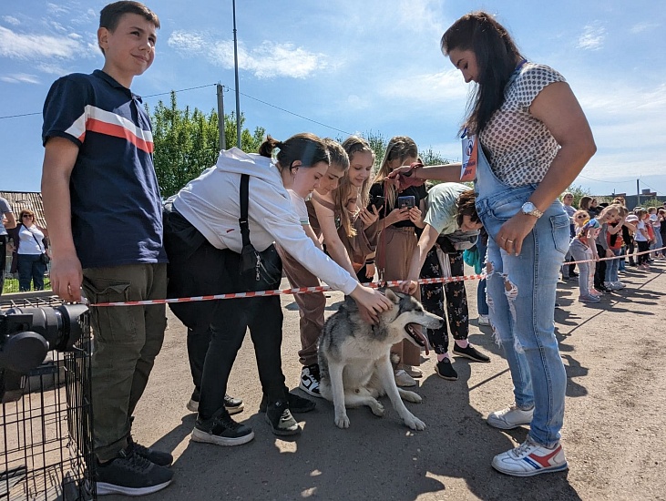 В Заводском районе в приюте для бездомных 
животных прошел День открытых дверей