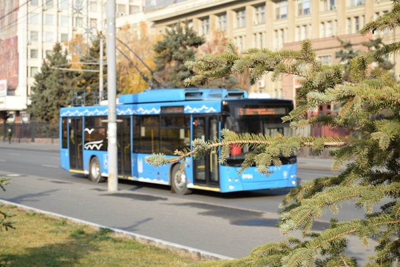 В День народного единства на линию вышли 
брендированные троллейбусы