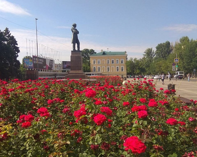 С начала сезона в городе высажено 177 000 цветов