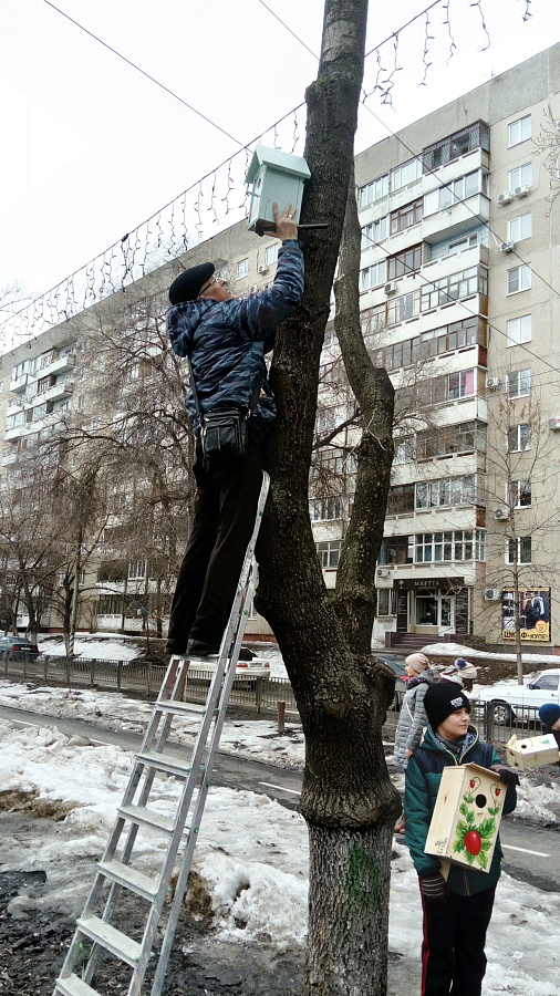 На бульваре по улице Рахова прошла социальная 
акция «Сохраним птиц на земле»