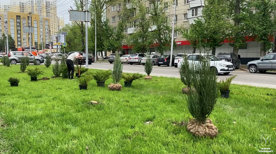 В городе продолжаются весенние работы 
по озеленению