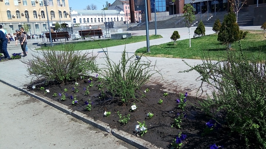 Состоится очередной общегородской субботник