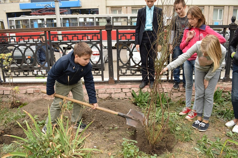 Во Фрунзенском районе состоялась акция 
«Сад памяти»