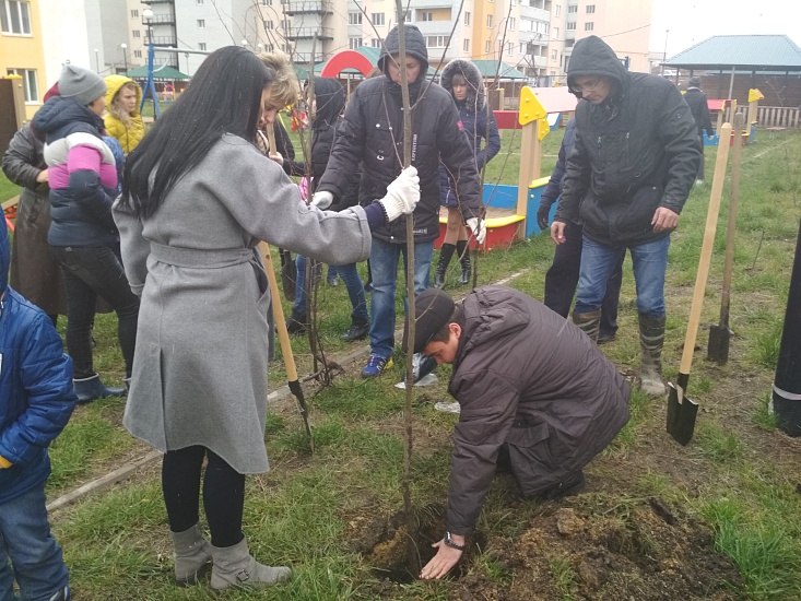 Возле детского сада Кировского района 
высадили деревья