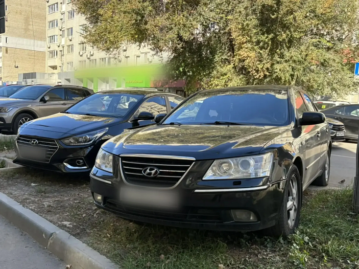 Продолжается фиксация случаев размещения автомобилей на зеленой зоне
