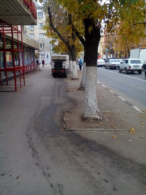 В Октябрьском районе было вывезено 238 кубометров 
мусора и ликвидировано 9 аварийных деревьев
