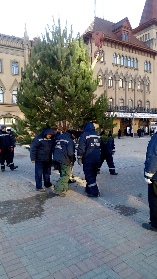 В центре Саратова установили сразу несколько 
новогодних елок