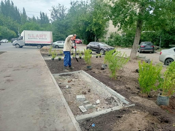 Во Фрунзенском районе продолжается благоустройство 
зеленой зоны по ул. Б. Садовая