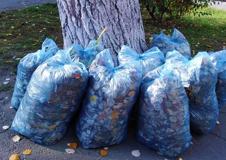 Более 8 тысяч саратовцев вышли на общегородской 
субботник