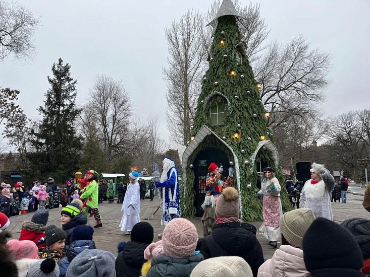 В Городском парке состоялось открытие 
Новогодней елки