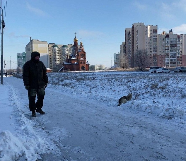 В Волжском районе продолжаются мероприятия 
по отлову безнадзорных животных