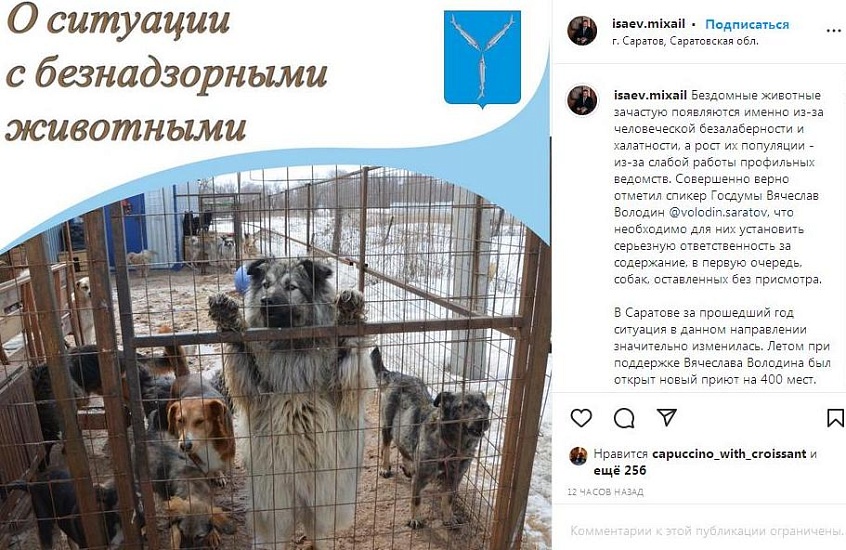 Михаил Исаев высказался о ситуации с безнадзорными 
животными