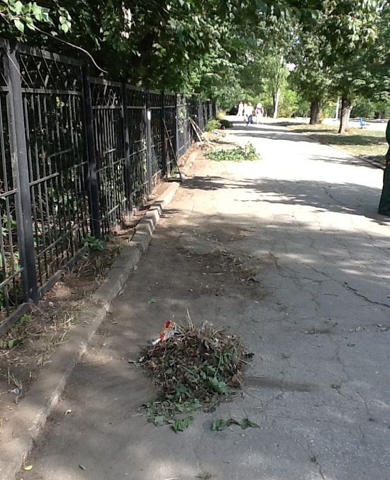 Администрацией Ленинского района на постоянной 
основе организуются работы по благоустройству
