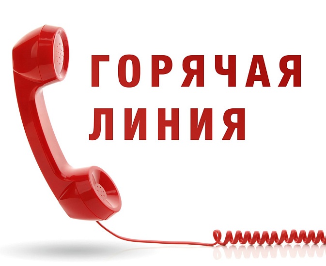 В городе функционируют "горячие линии" 
по уборке снега