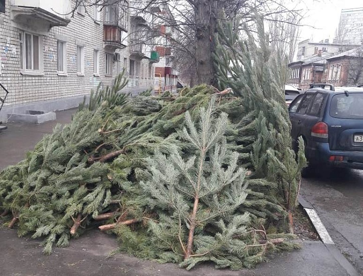 В Волжском районе выявлен факт несанкционированной 
торговли елками