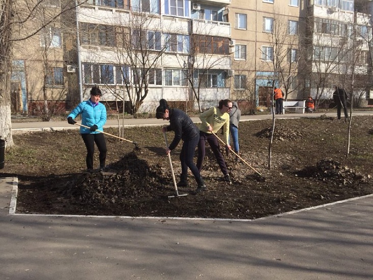 Стартовал общегородской субботник