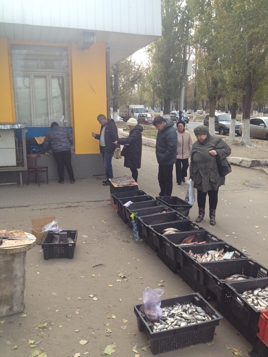 В Заводском районе состоялся рейд по местам 
незаконной торговли