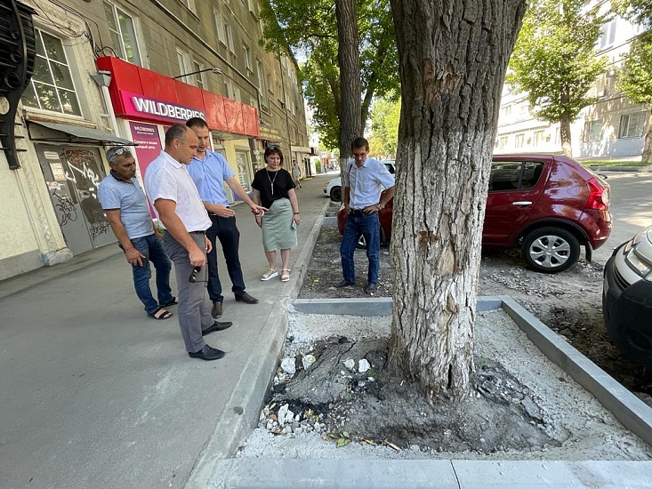 Во Фрунзенском районе проведен осмотр 
зеленых зон на улицах Радищева и Большая Казачья