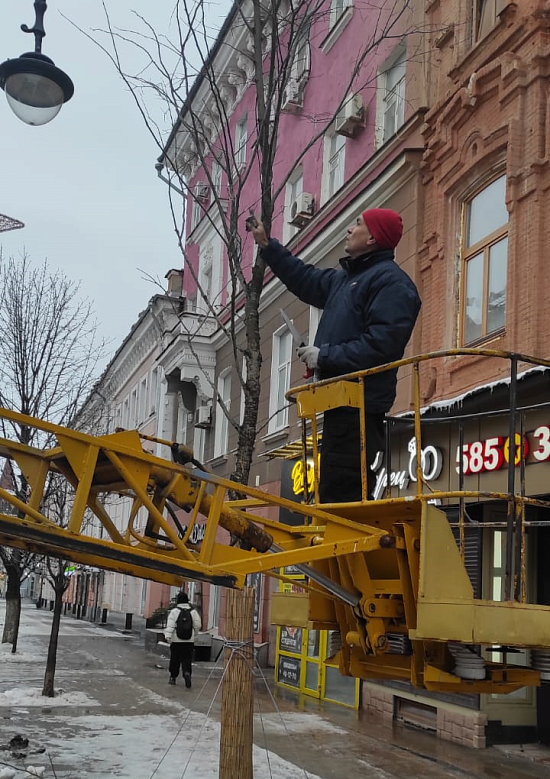 Состоялась обрезка молодых вязов на проспекте 
Столыпина