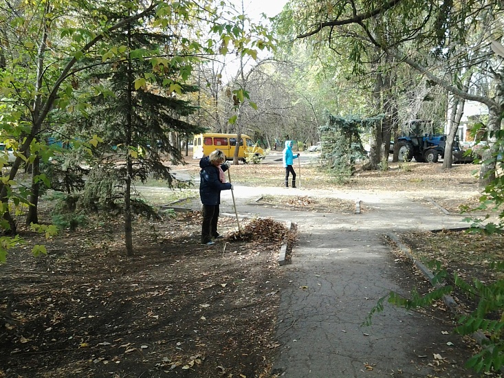 Продолжаются мероприятия по благоустройству 
зеленых зон