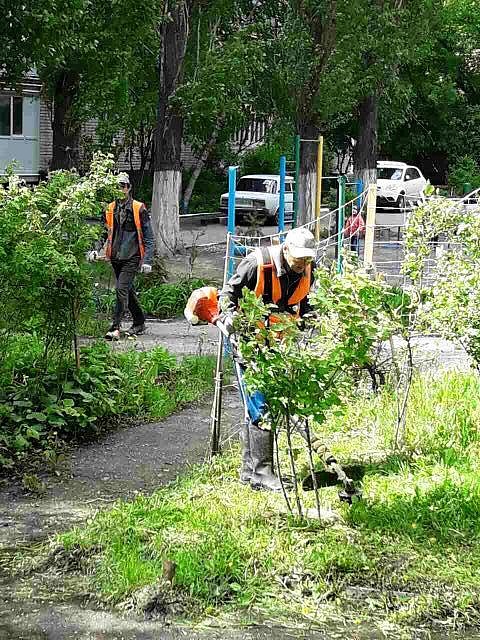 С начала недели покошено 5 200 кв.м. травы