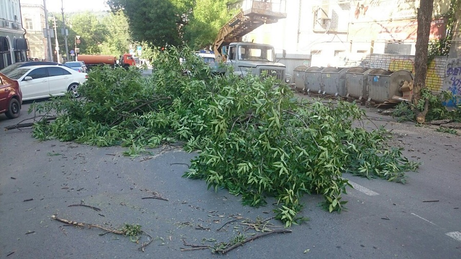 На ул. Октябрьская спилили дерево, создававшее 
угрозу для жизни