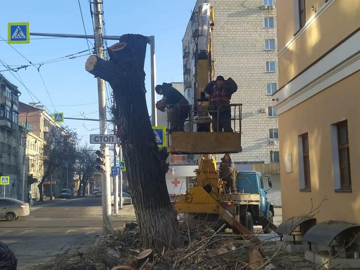 В Волжском районе проведены мероприятия 
по удалению аварийного дерева