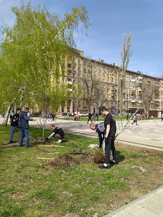 На территории города стартовали работы 
по весенней высадке зеленых насаждений