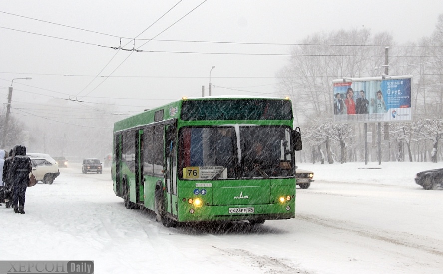 Начавшийся снегопад не помешал работе 
общественного транспорта