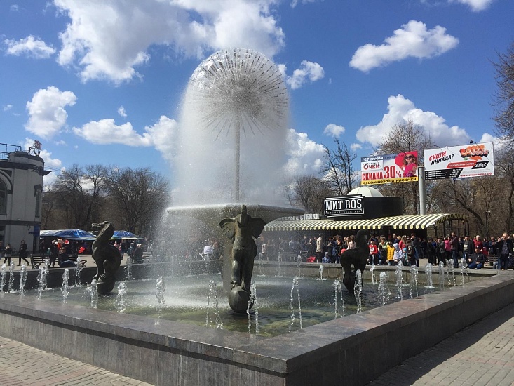 В Саратове «распустился» «Одуванчик»