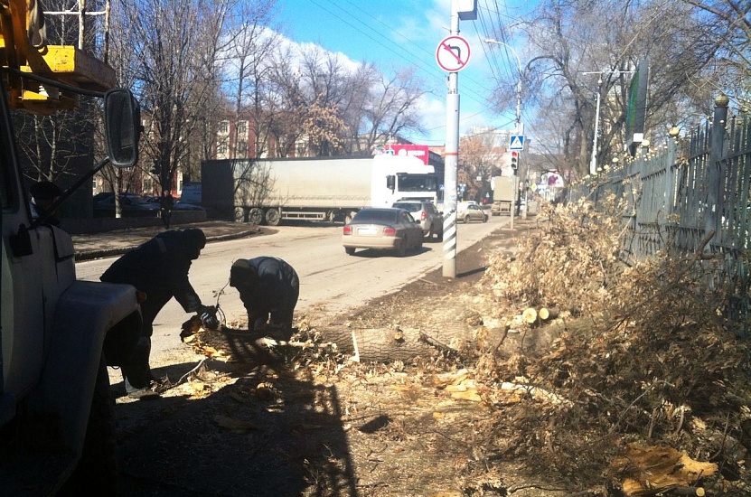 В Саратове боролись с последствиями сильного 
ветра