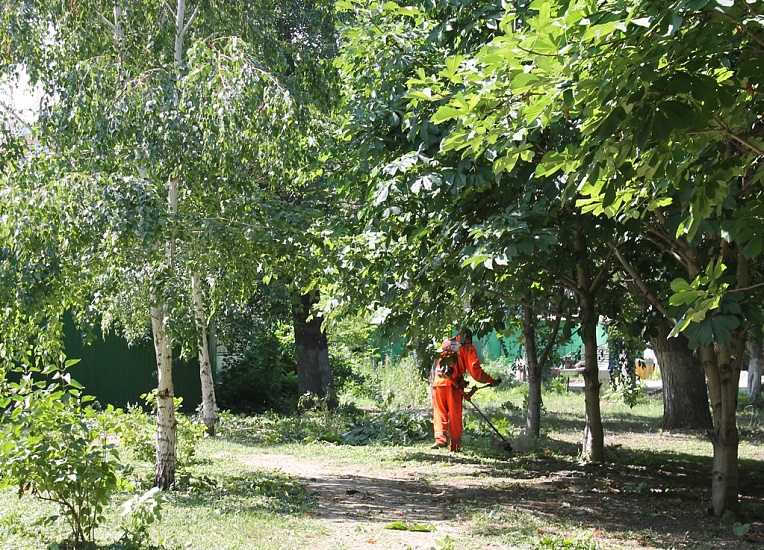 «Аллею роз» продолжают благоустраивать