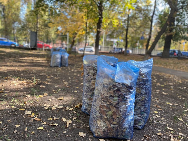 В Саратове продолжаются субботники