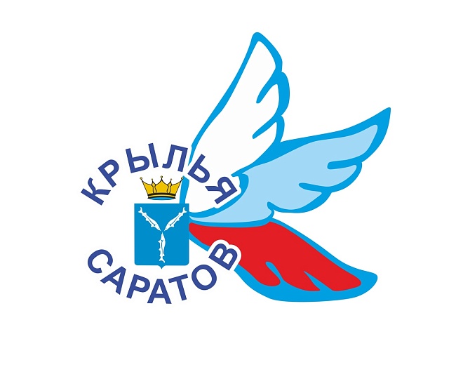 В Саратове состоится показательный матч 
по следж-хоккею для учащихся всех школ-интернатов города