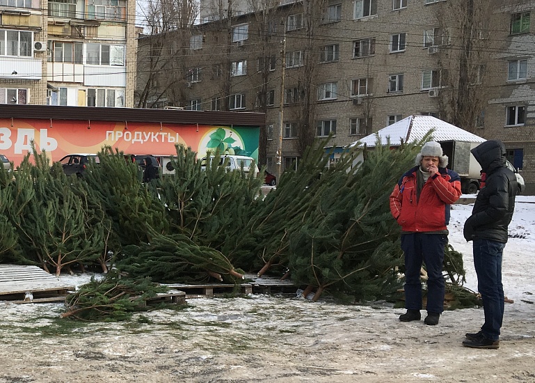 В Октябрьском районе ведется борьба с незаконной 
торговлей елок