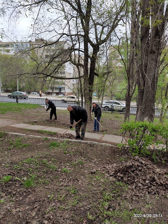 Жители Кировского района приняли участие 
в субботнике