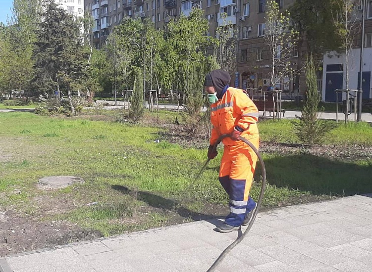 На территории Фрунзенского района продолжаются 
мероприятия по озеленению