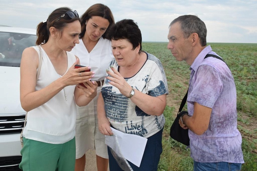 В Быковке может появиться питомник растений 
для озеленения Саратова