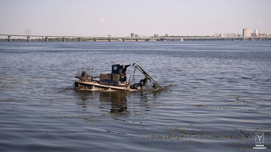 Стартовала очистка акватории набережной 
от водной растительности