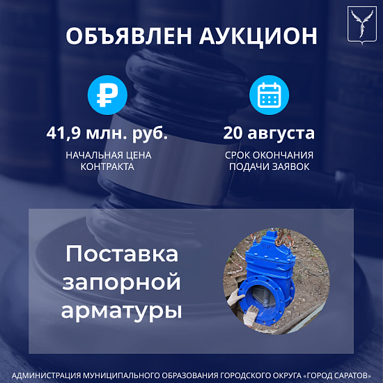 Объявлен аукцион