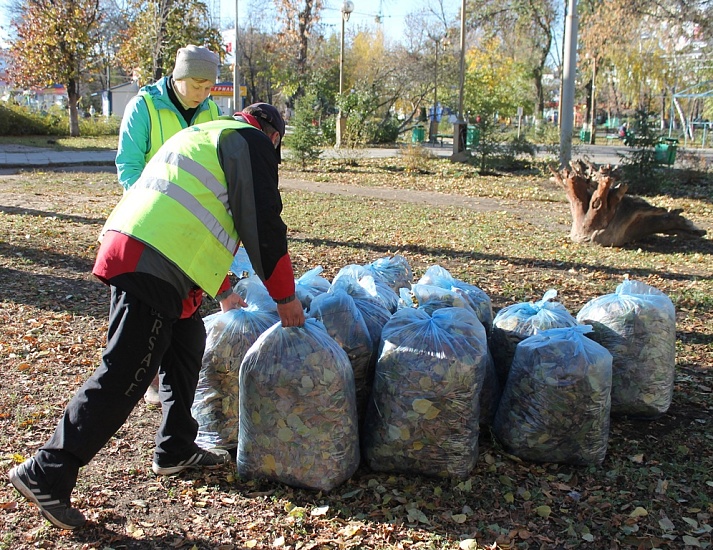 Субботник на «Аллее роз»