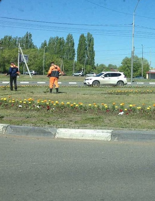 В Волжском районе благоустраивают зеленые 
зоны