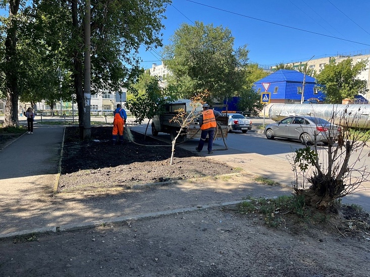 На территории Кировского района ведутся 
мероприятия по благоустройству зеленых зон