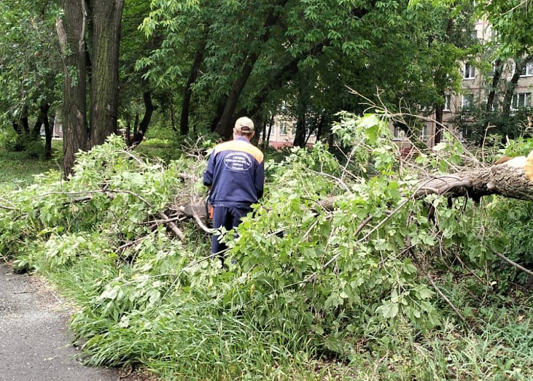 В Заводском районе ведутся работы по устранению 
последствий непогоды