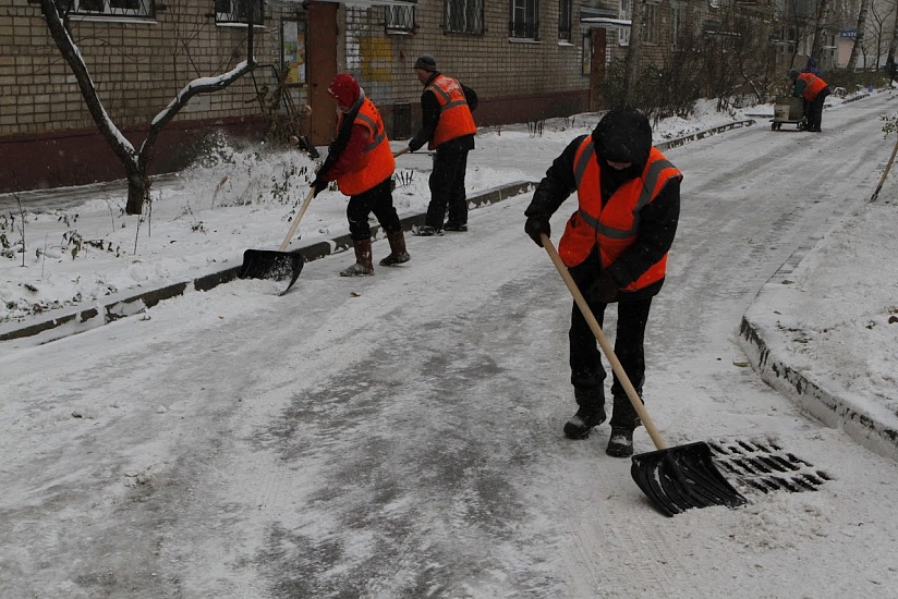 Муниципальные жилищные инспекторы проверили 
3459 дворов