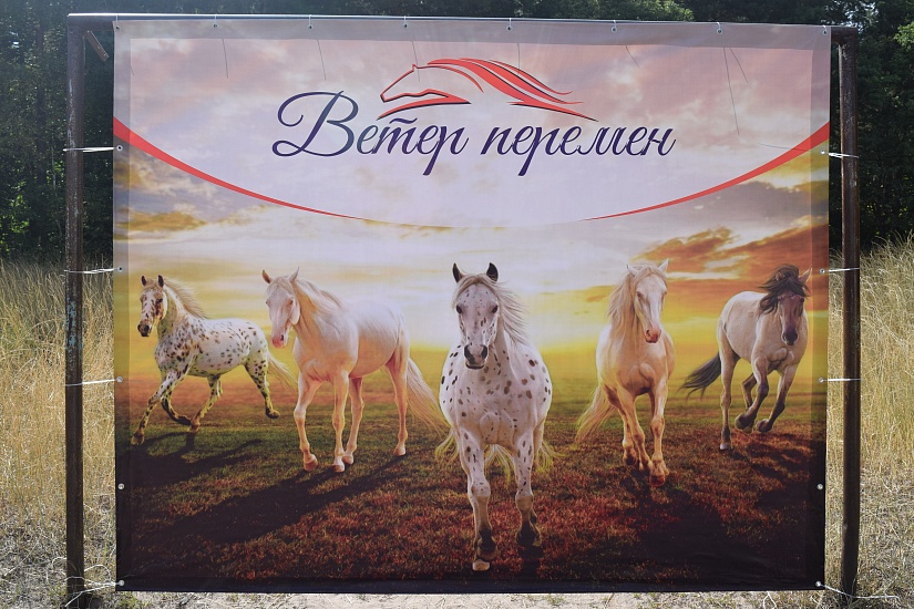 Праздник добра для особенных детей